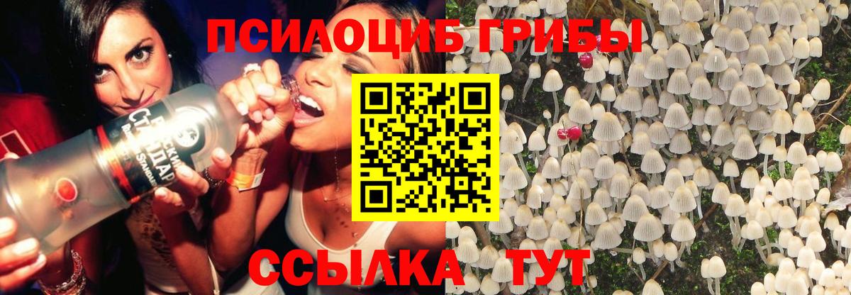 Псилоцибиновые грибы MAGIC MUSHROOMS Ачинск